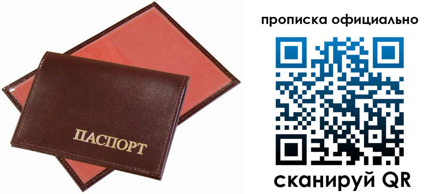 временная регистрация гарантия в Светогорске